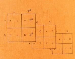 Vererbung bei Tauben Cover klein.jpg