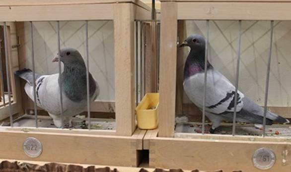 A Sch�nheit und Leistung 761 IMG_1222.jpg