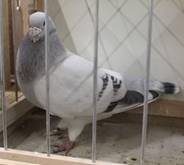 A Sch�n IMG_1247.jpg