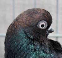 Ausschnitt IMG_1922.jpg