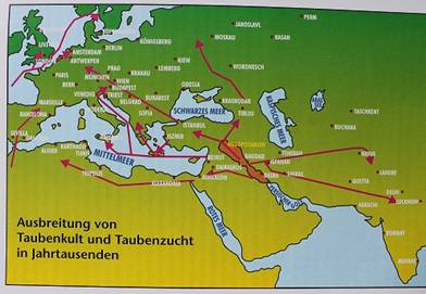 Reichenbach IMG_7065 klein.jpg