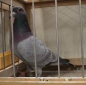 IMG_4184 Fadedartig 421 Klasse 5a.jpg