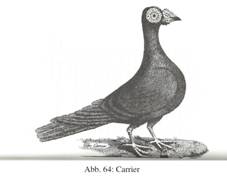 Carrier Treatise.JPG