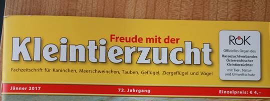 Roek IMG_7357 web.jpg