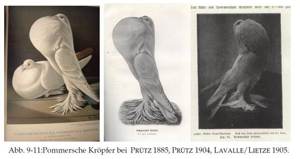 Pommersche bei Pruetz Lavalle und Lietze.JPG