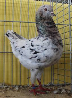 IMG_4277 Vielfarben Hannover.jpg